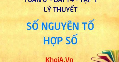 Số nguyên tố là gì? Hợp số là gì? cho ví dụ; Bảng số nguyên tố - Toán 6 bài 14 tập 1